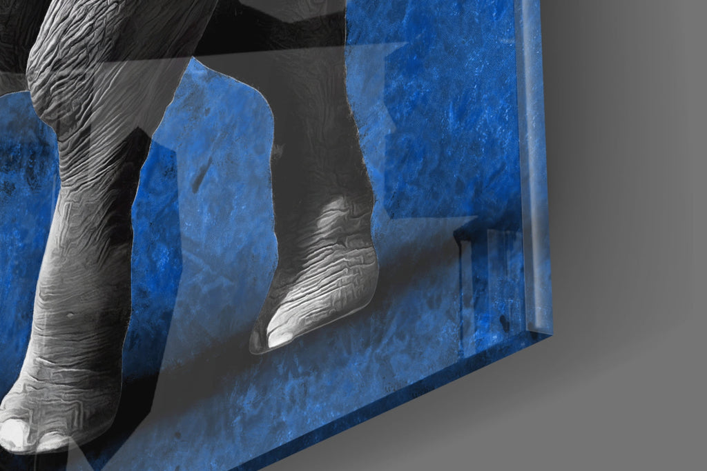 Grayscale Elephant Blue Backdrop Glass Wall Art