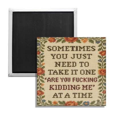 One "Are You F-king Kidding Me" at a Time Fridge Magnet