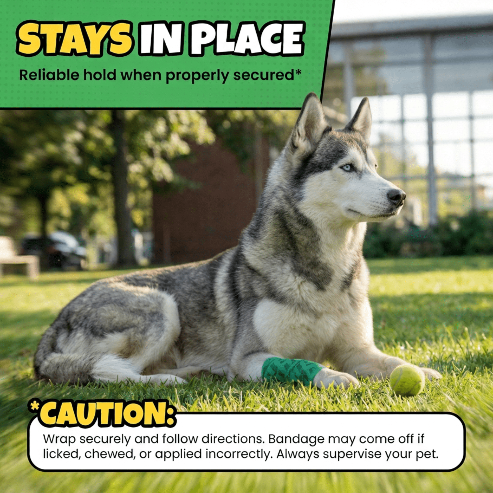 Oops Wraps™ Non - Stick Wrap for Dogs - PhishStones Products