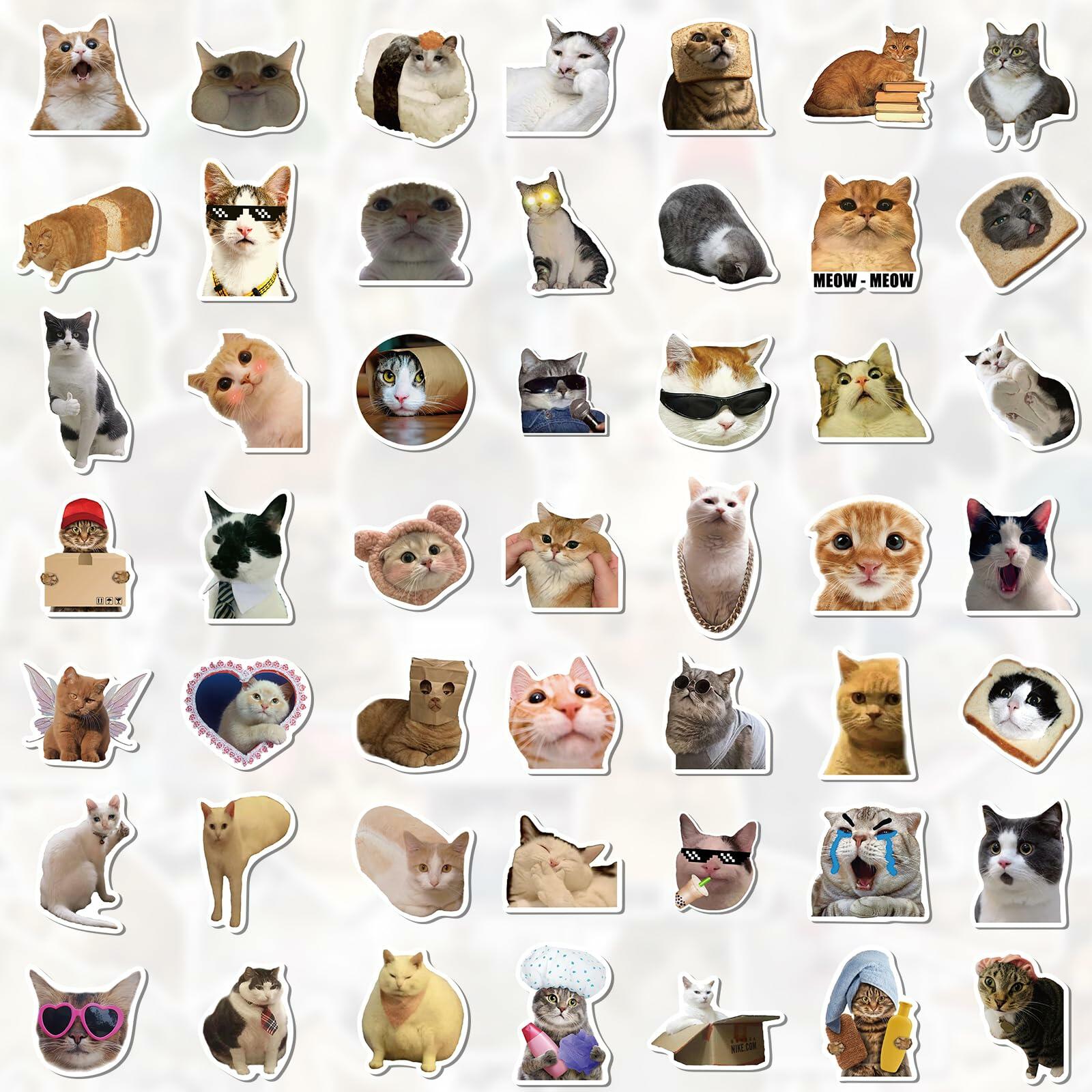 GizmoBox 100pcs Cute Cat Meme Stickers Waterproof Vinyl Decals for Laptop Kids