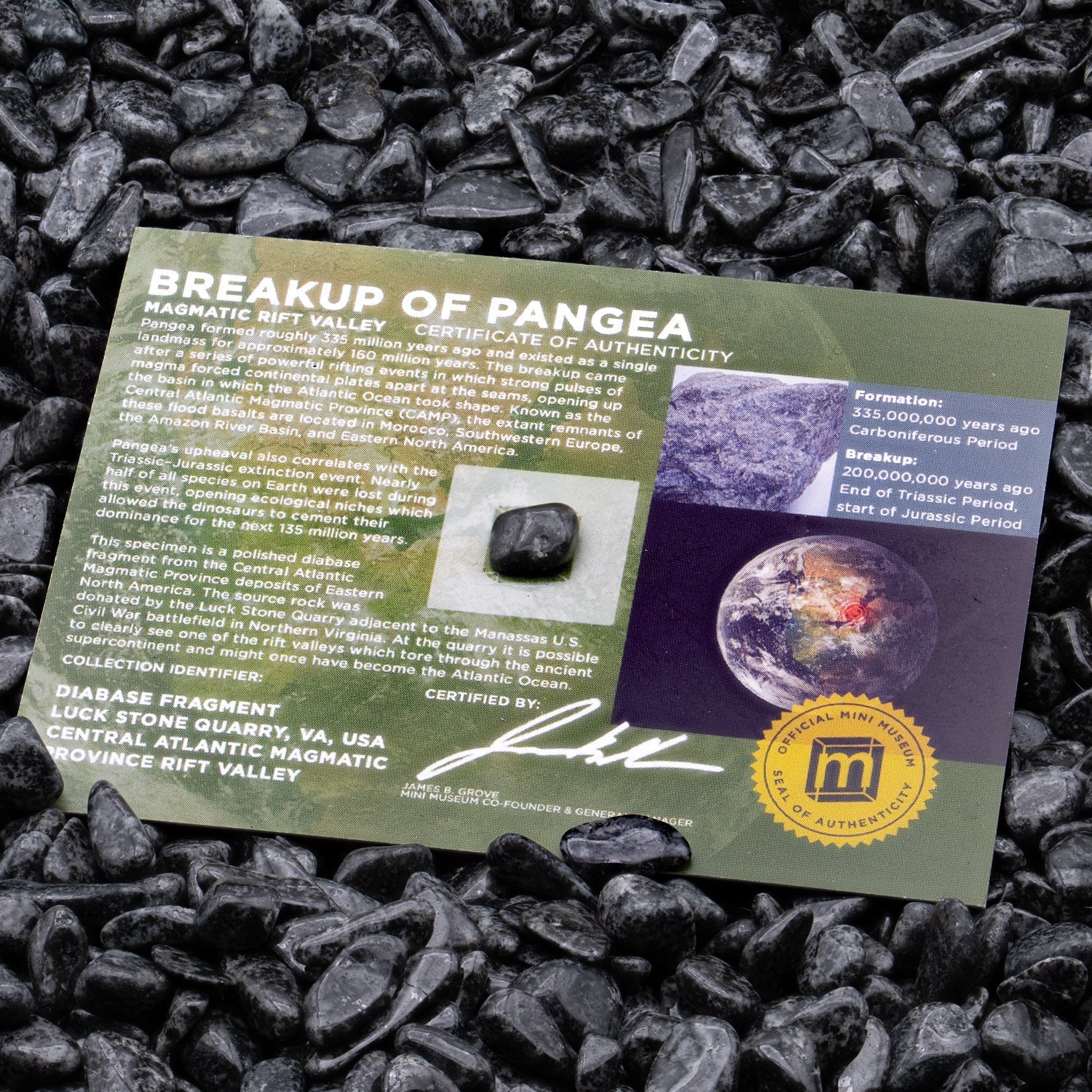 Breakup of Pangea - Display Card