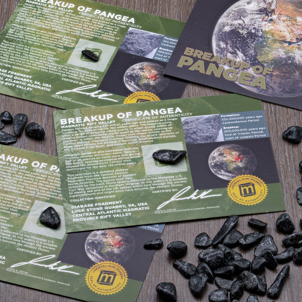 Breakup of Pangea - Display Card