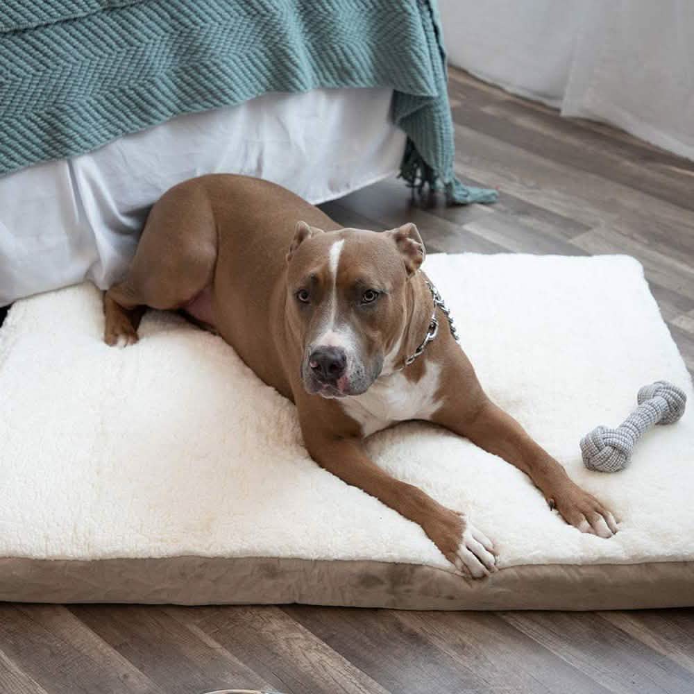 Paws & Pals Orthopedic Pet Bed Foam - Mattress for Dogs and Cats - PhishStones Products