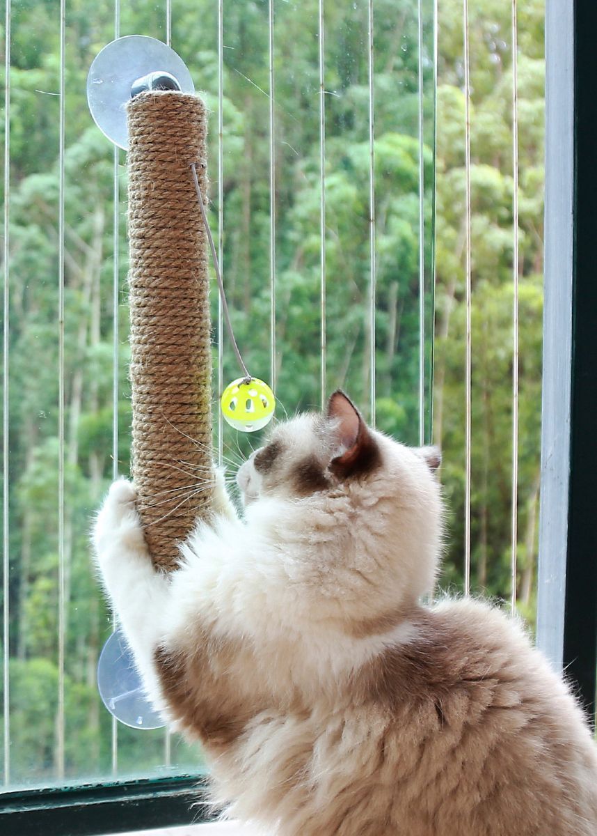 Pet Life ® 'Stick N' Claw' Sisal Rope and Toy Suction Cup Stick Shaped Cat Scratcher