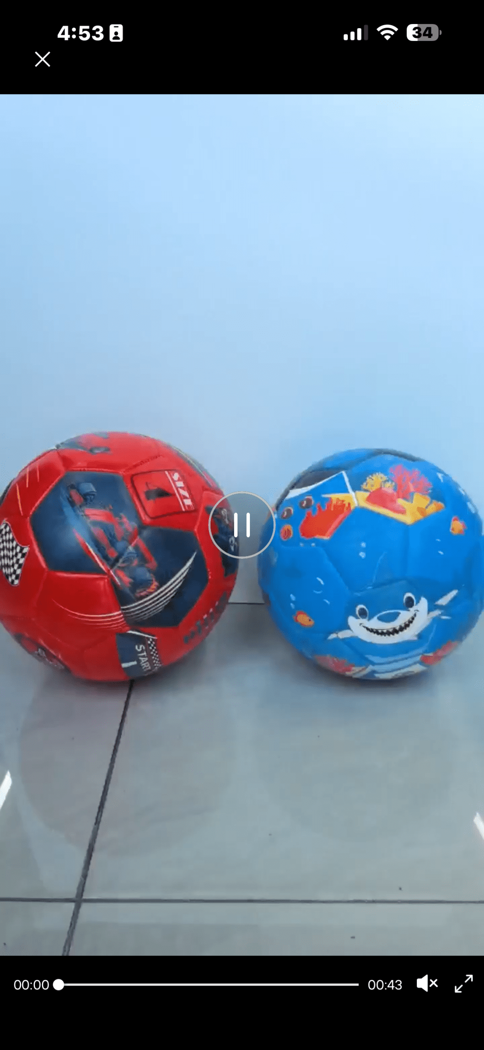 Size 3 Ocean Themed Classic Match Grade Soccer Ball