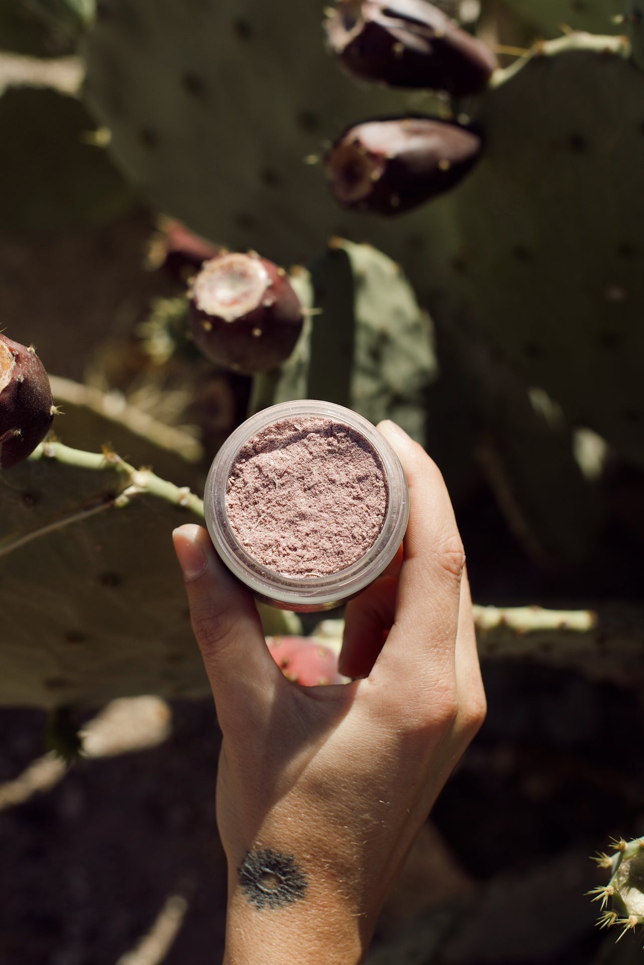 PRICKLY PEARL - PhishStones Products