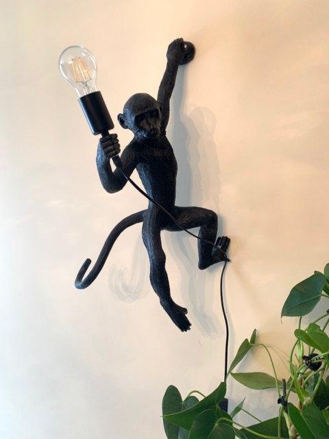 Modern Monkey Hemp Lamp