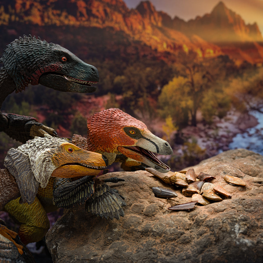 Raptor Tooth