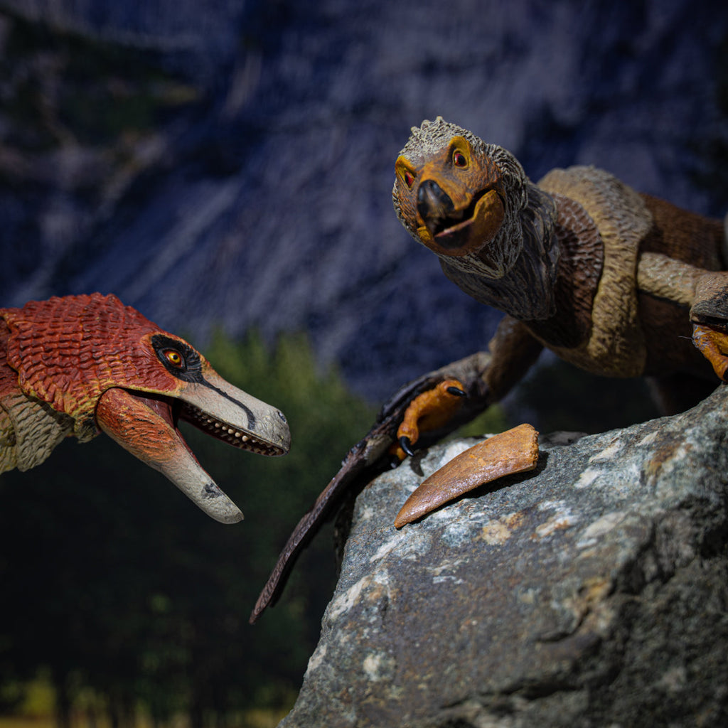Raptor Tooth
