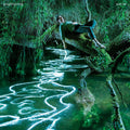 Sam Lee - Songdreaming (CD) | Mint (M) Mint (M)