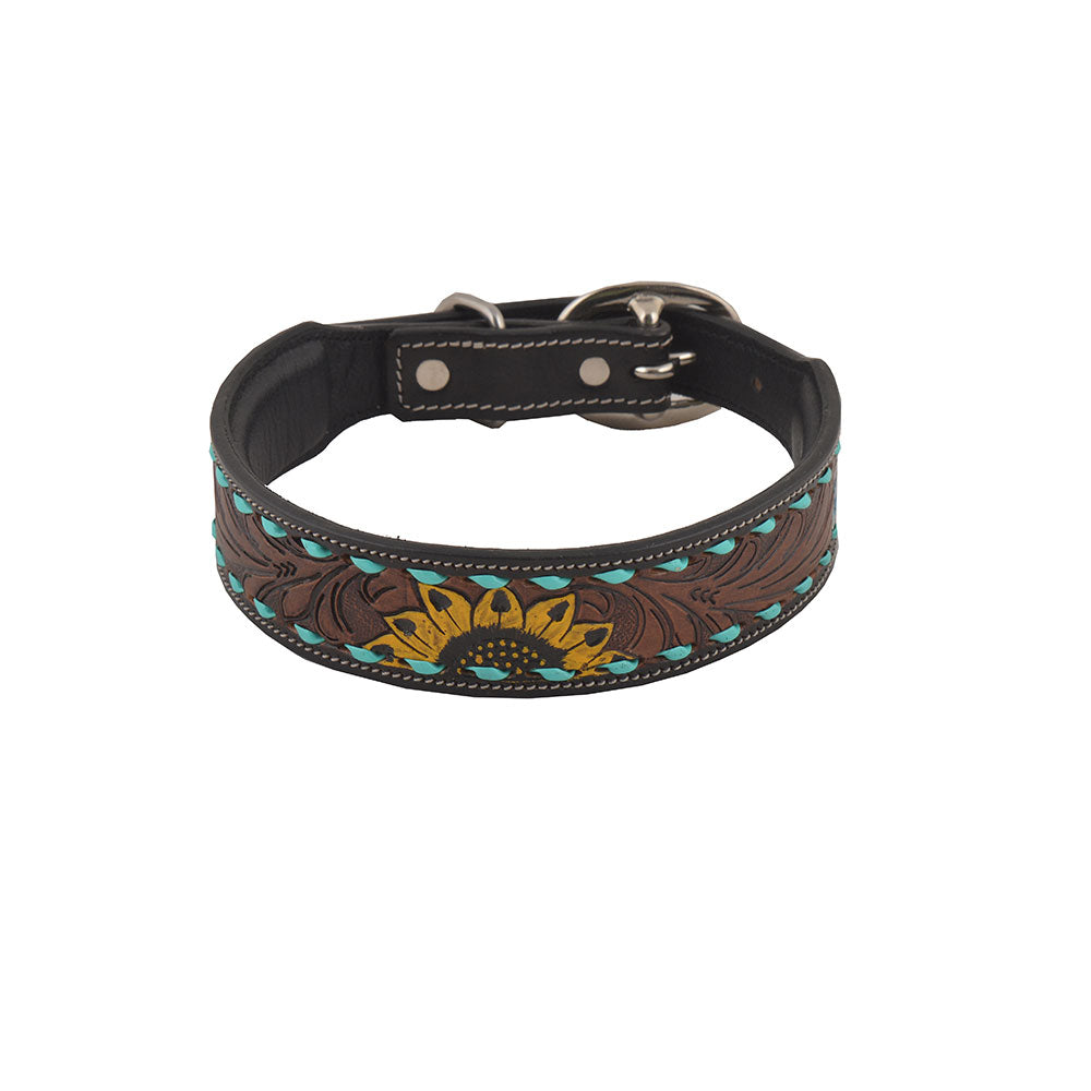 Scenic Hand - Tooled Leather Dog Collar - PhishStones Products