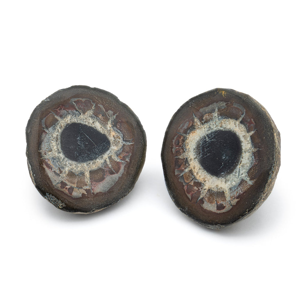 Septarian Nodules