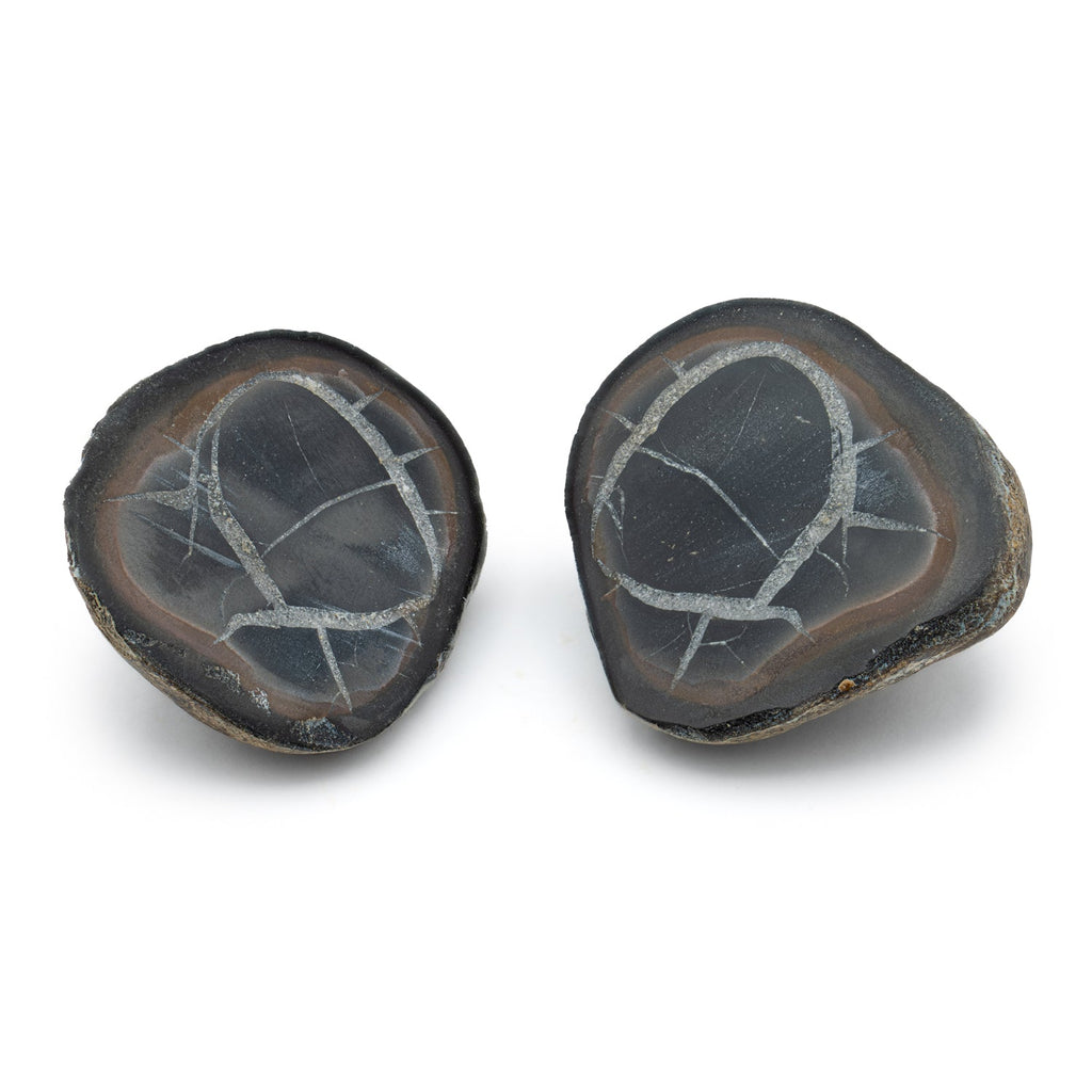 Septarian Nodules