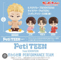 Seventeen - Petiteen Gashapon Capsule Toy (Japan ExclusIVE MD)