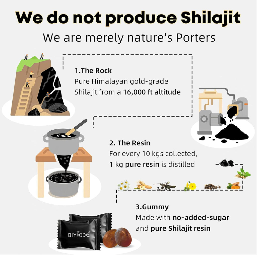 Shilajit Gummies - 90 Gummies - PhishStones Products