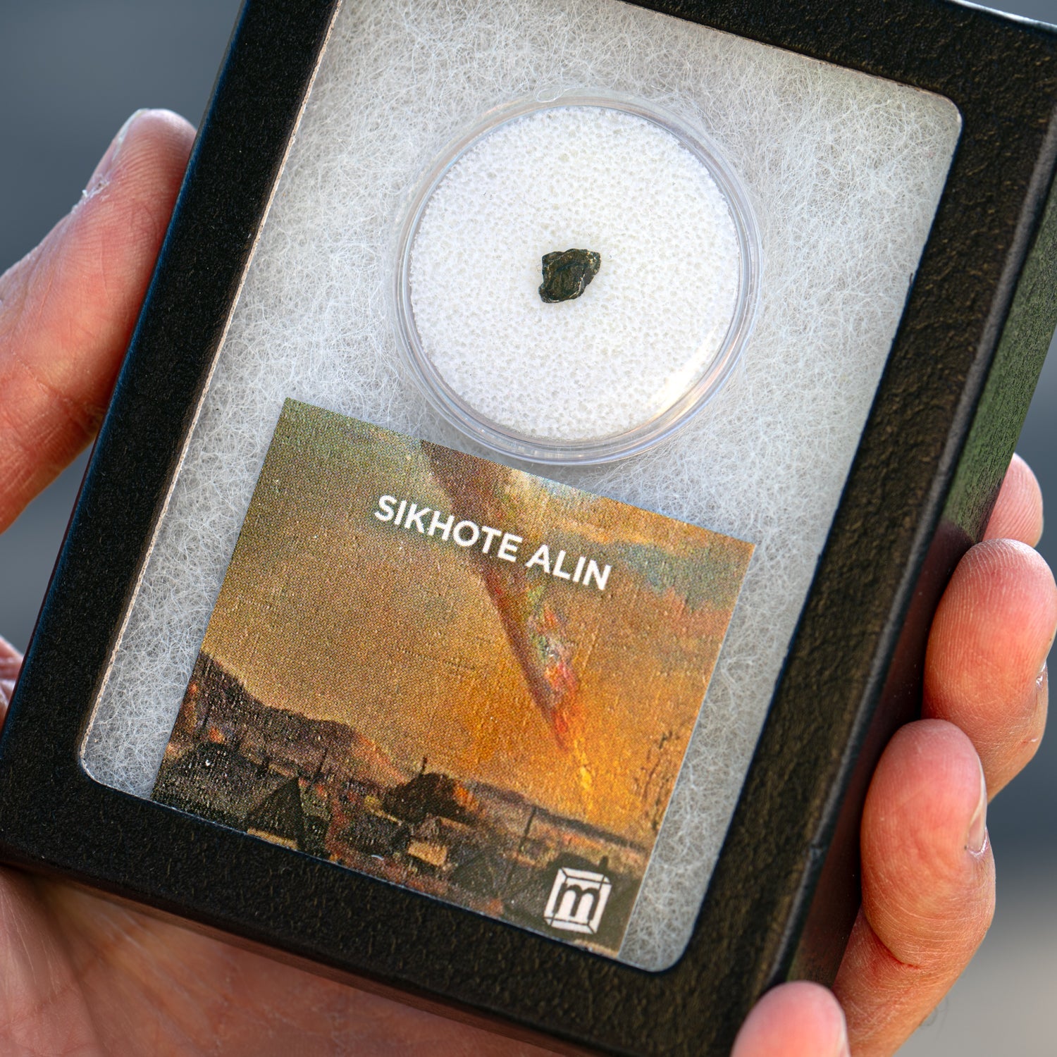 Sikhote Alin Meteorite
