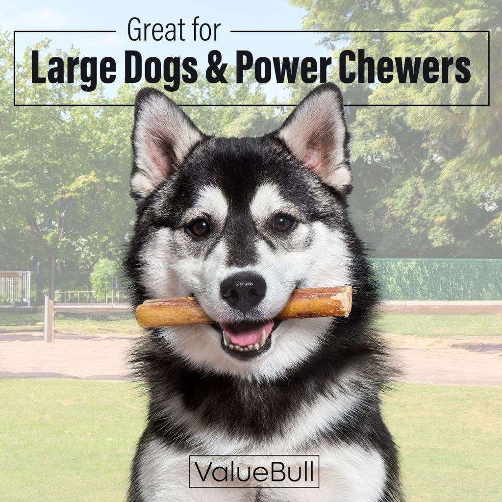 ValueBull Bully Sticks for Large Dogs, Jumbo 6 Inch, 10 Count