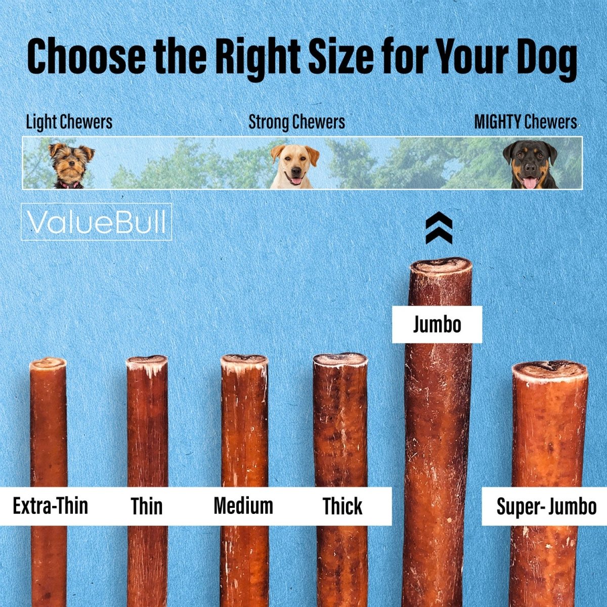 ValueBull Bully Sticks for Large Dogs, Jumbo 6 Inch, 50 Count