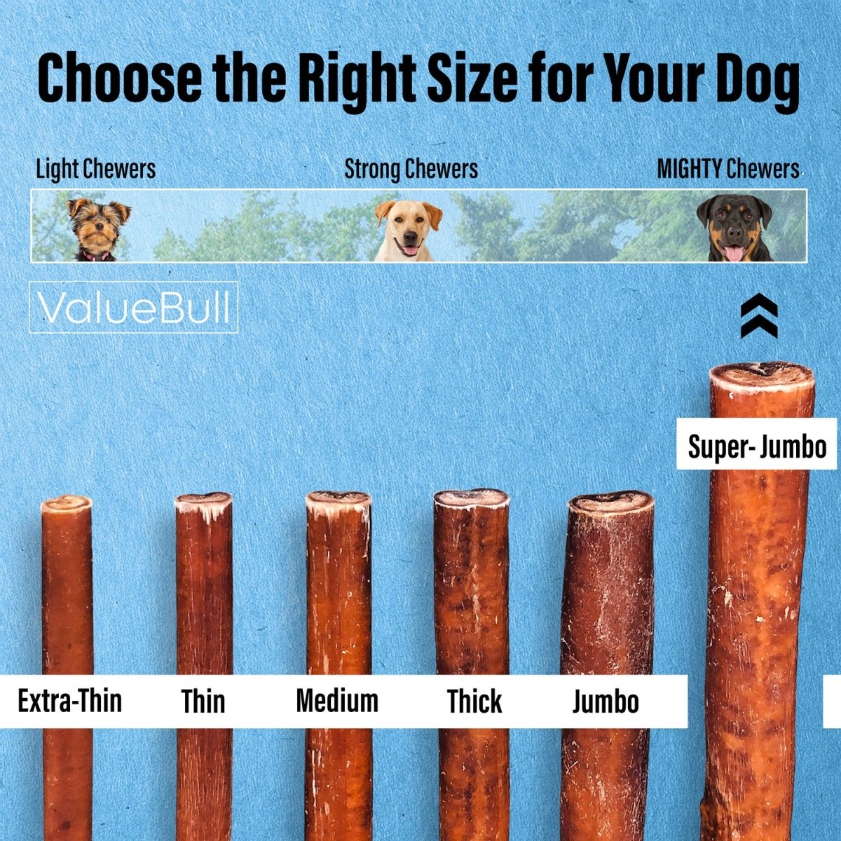 ValueBull Bully Sticks for Large Dogs, Super Jumbo 6 Inch, 10 Count
