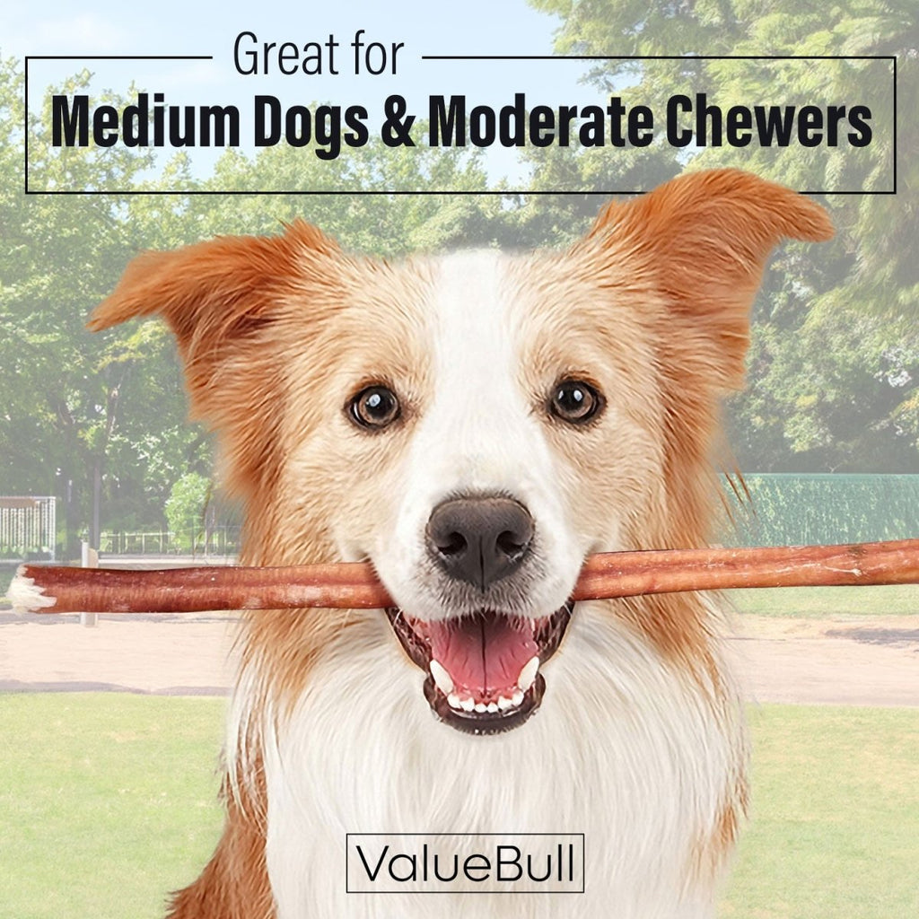 ValueBull Bully Sticks for Dogs, Medium 12 Inch, 25 Count