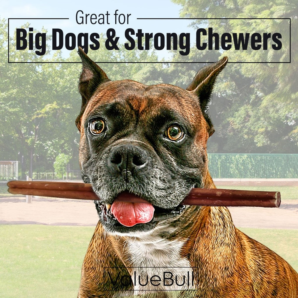 ValueBull Bully Sticks for Large Dogs, Thick 12 Inch, 25 Count