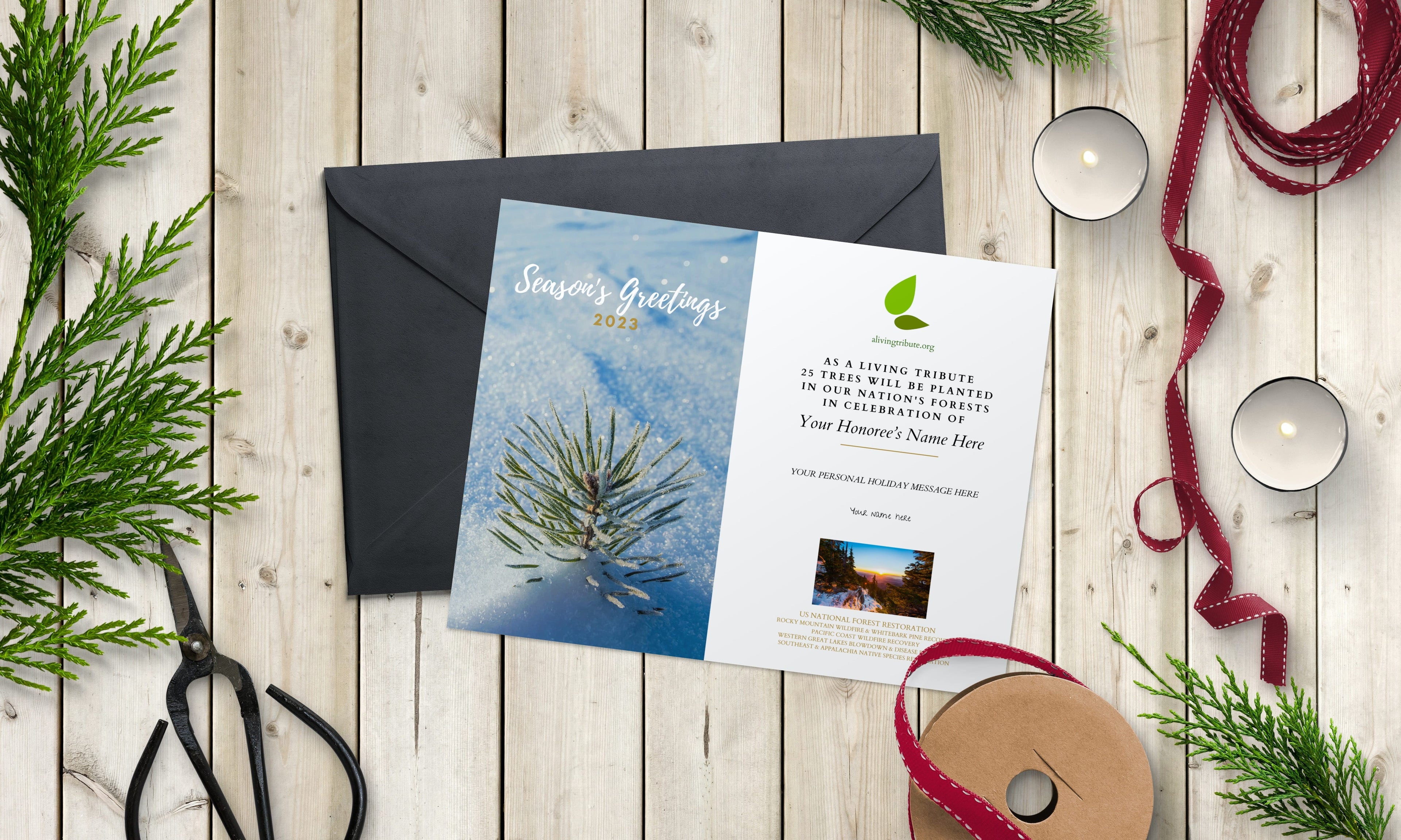 Plant a Tree Holiday Card 2026
