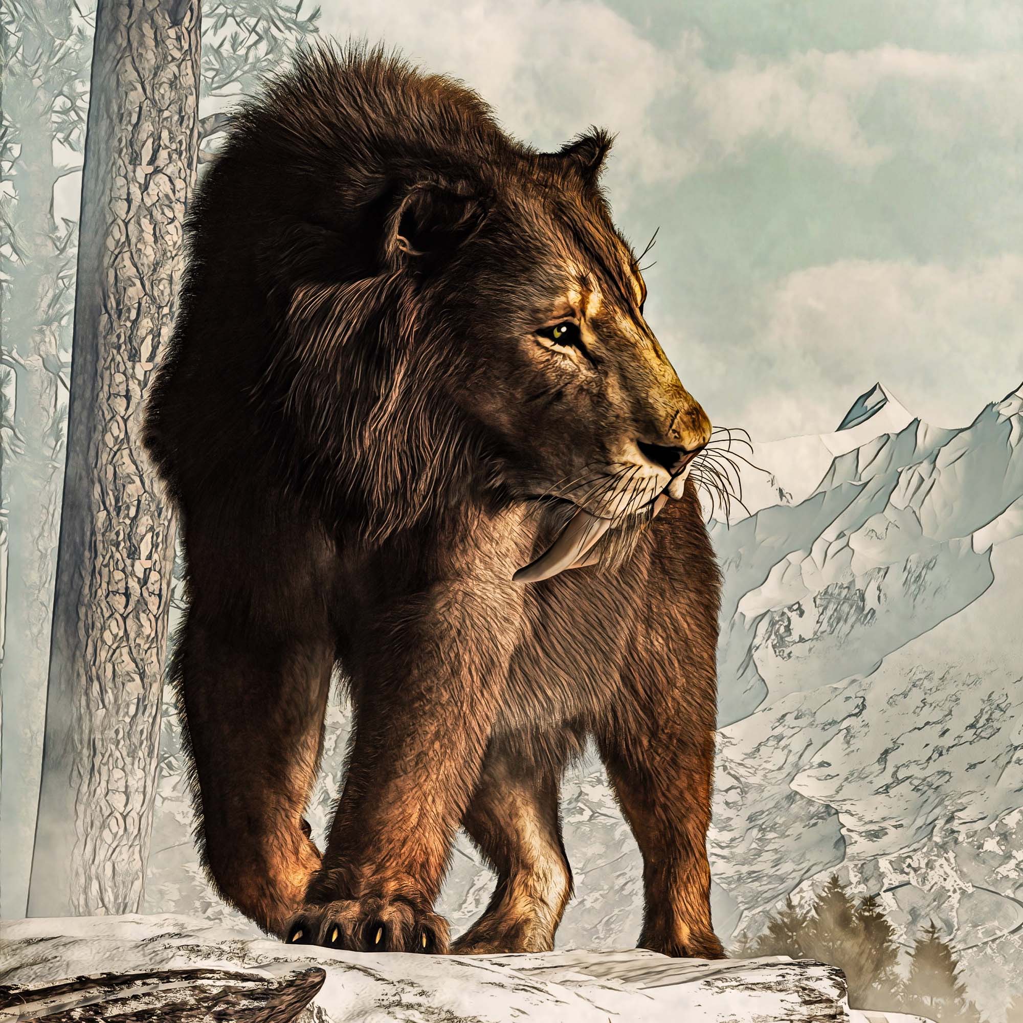 Smilodon Bone