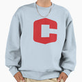 Central College Iowa Sweatshirt - Aesthetic Graphic for Adults