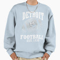 Football Detroit Lions Sweatshirt - Fun Novelty Design for Adults