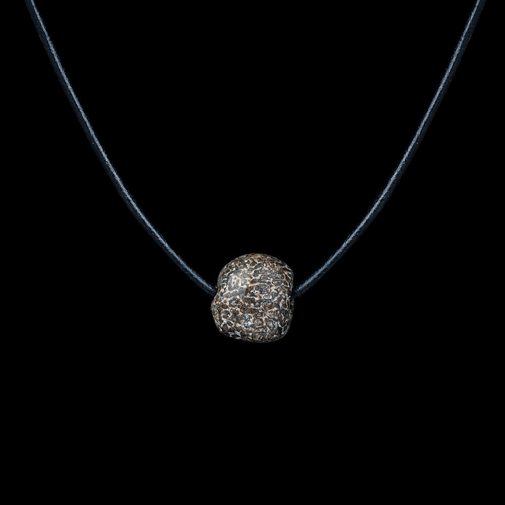 Stegodon Bone Necklace