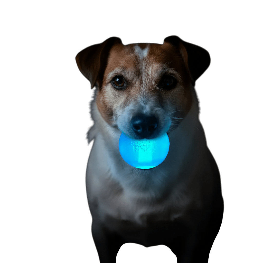 Strobe Ball Light - Up Dog Toy - Durable Floating Chew Ball | Made in USA - PhishStones Products