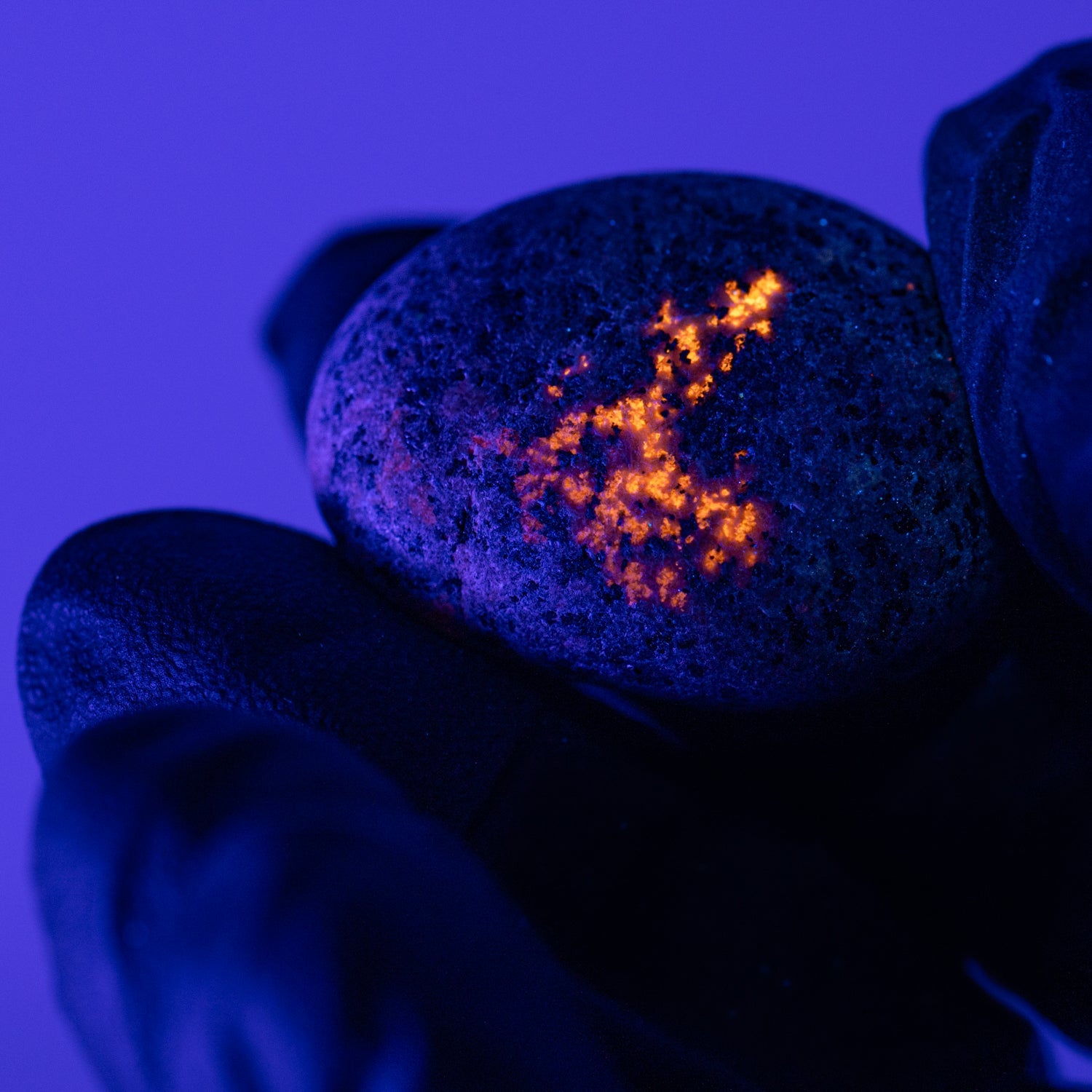 Shining Syenite - UV Glow Rocks