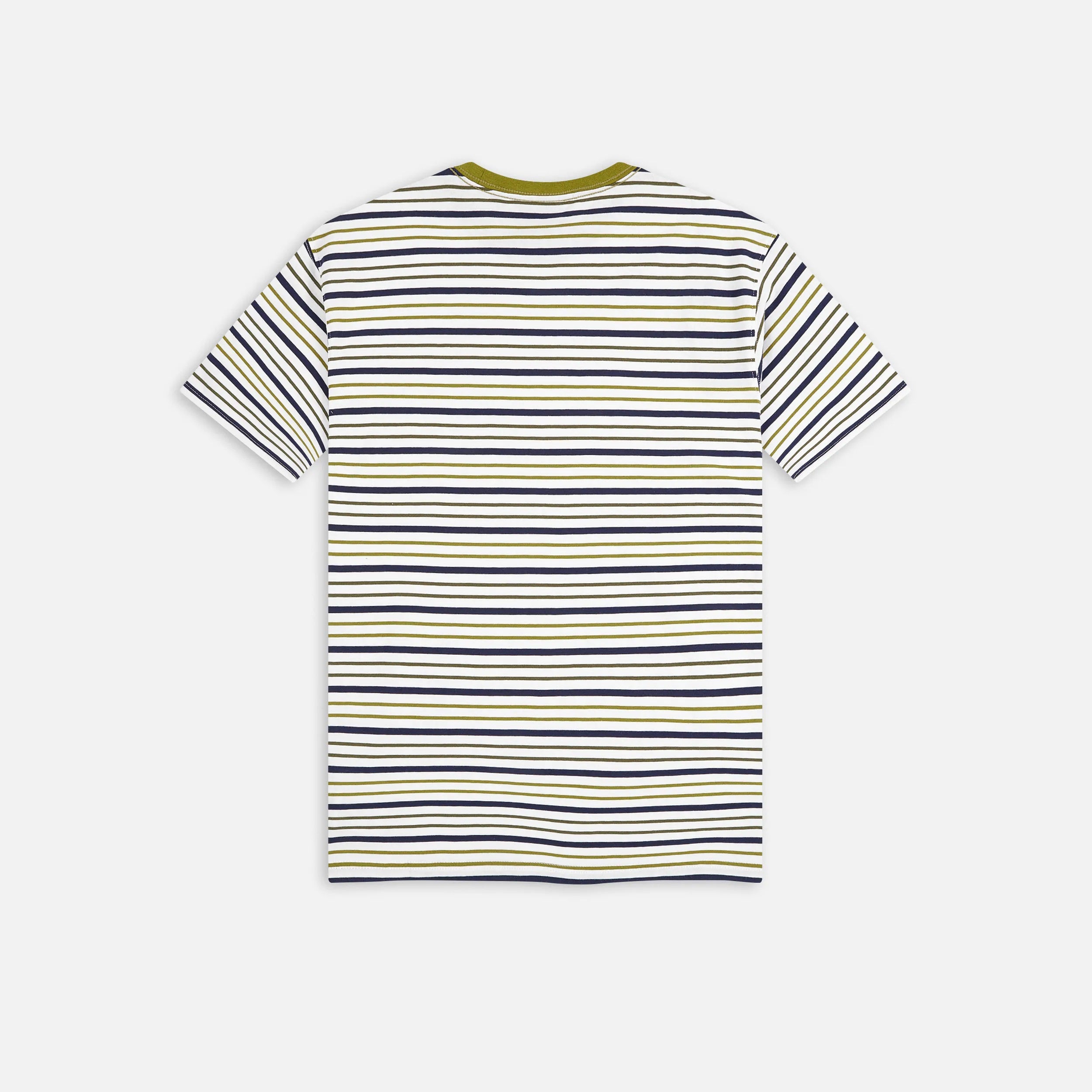 Dickies Skateboarding Stripe Graphic T-Shirt - Green Moss (WES)
