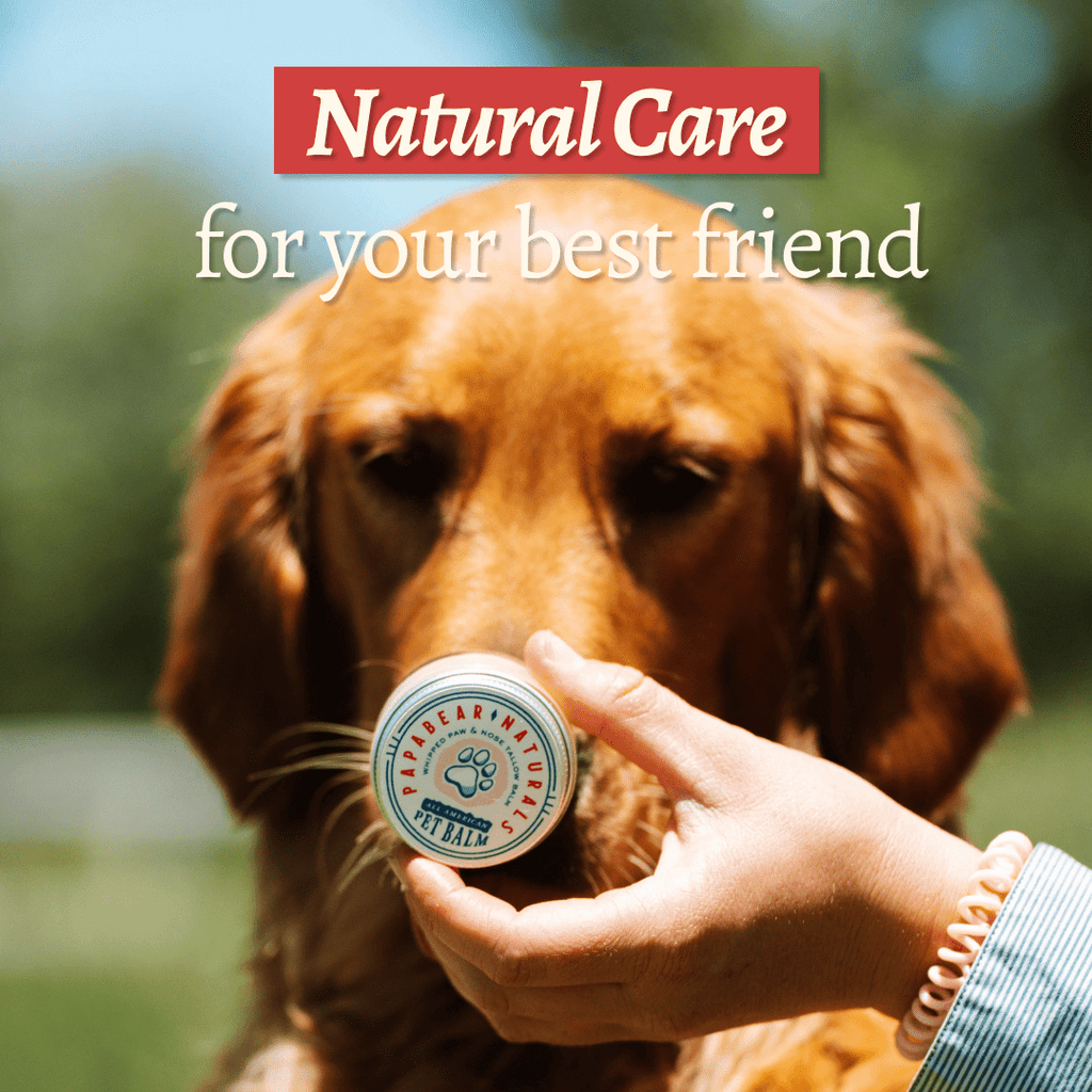 Tallow Pet Care Bundle - PhishStones Products