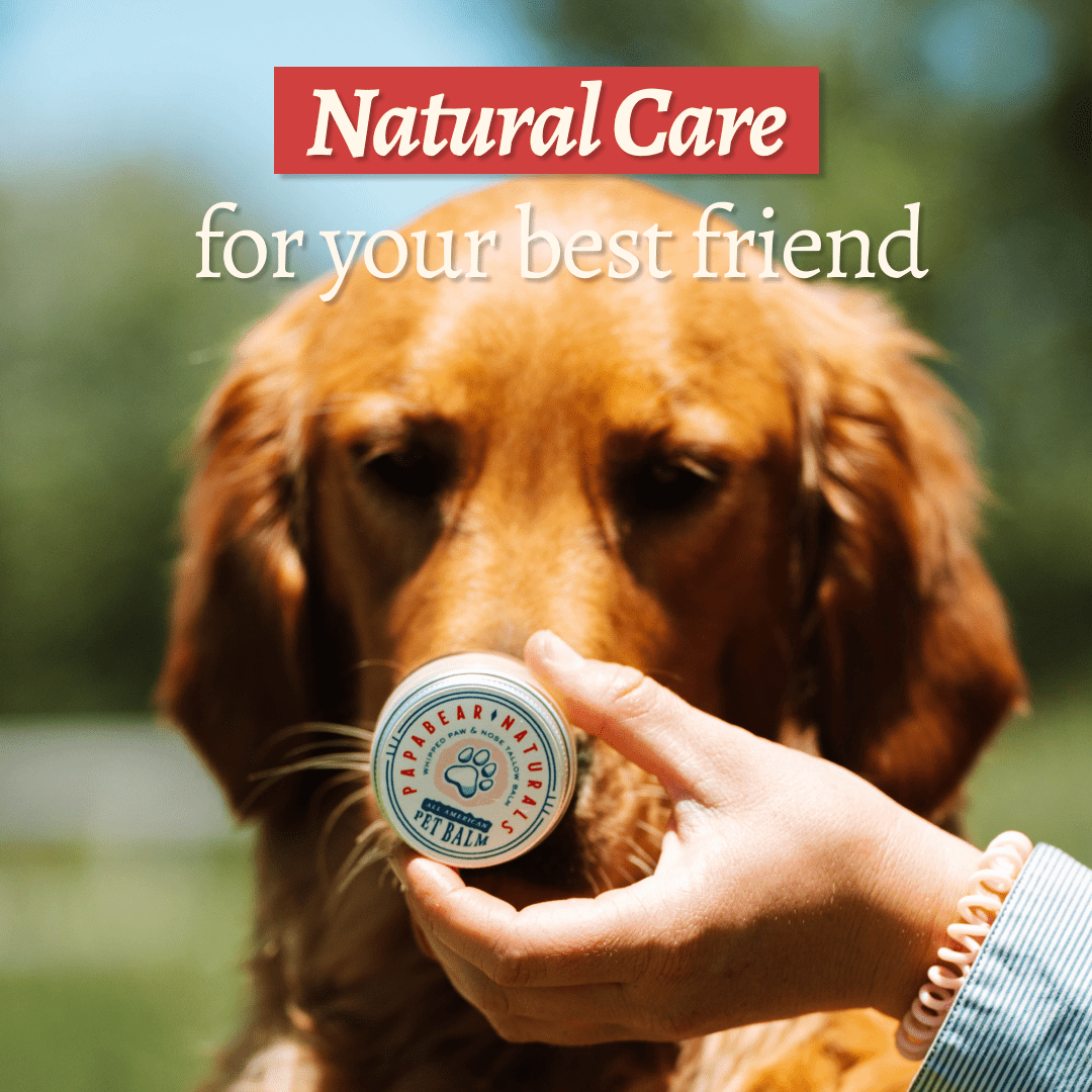 Tallow Pet Care Bundle - PhishStones Products