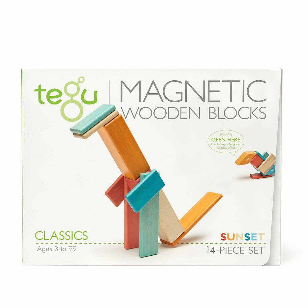 14 Piece Magnetic Wooden Block Set
