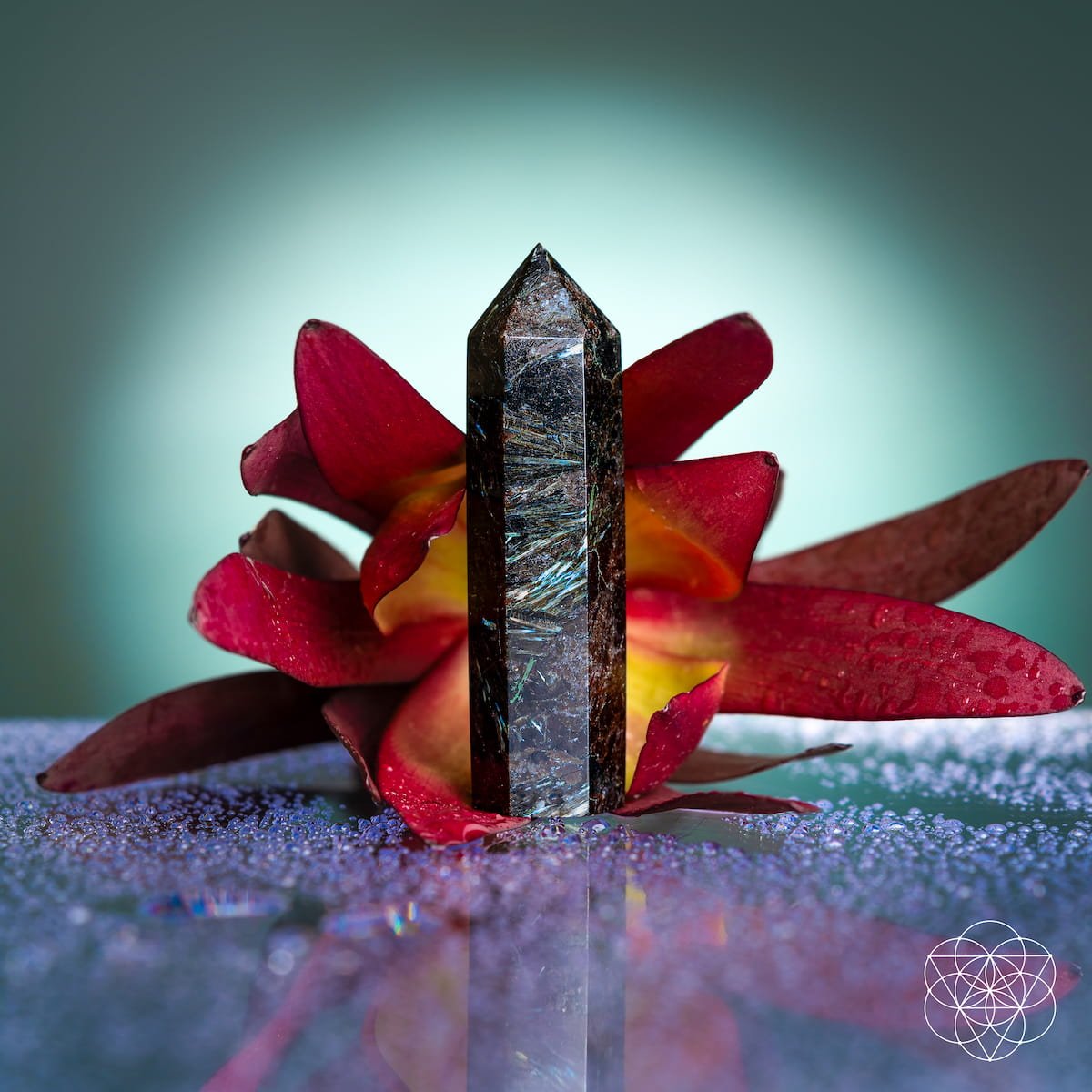 This Is Your Breakthrough – Rare Arfvedsonite Point - PhishStones Products