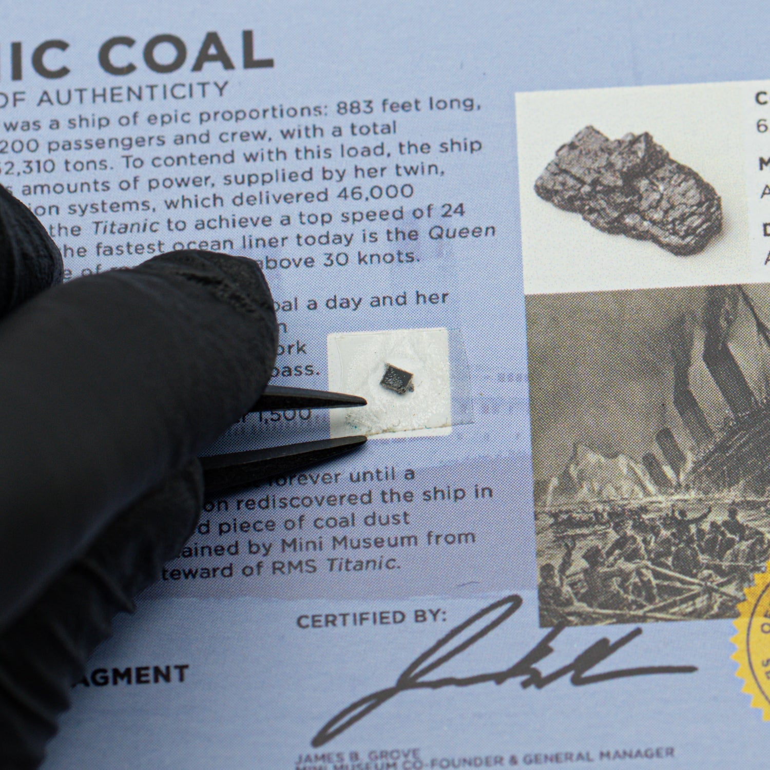 Titanic Coal - Display Card