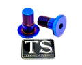 Titanium Talaria Sting Swingarm Bolts (set of two)