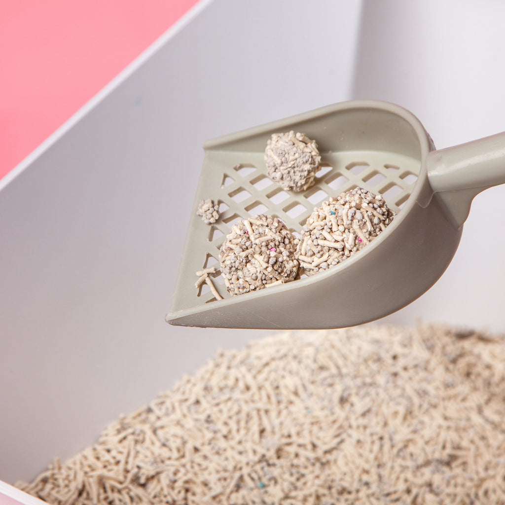 Touchcat 'Litter-ally Natural' Absorbant and Clumping Cat Litter w/ New Technology - w/ Active Carbon