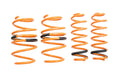Megan Racing Dual Lowering Springs for 2019+ Toyota RAV4 (Hybrid, Prime) SAE 9254 Cold Wound Steel - MR-LS-TR419