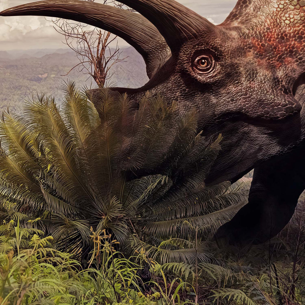 Triceratops Tooth
