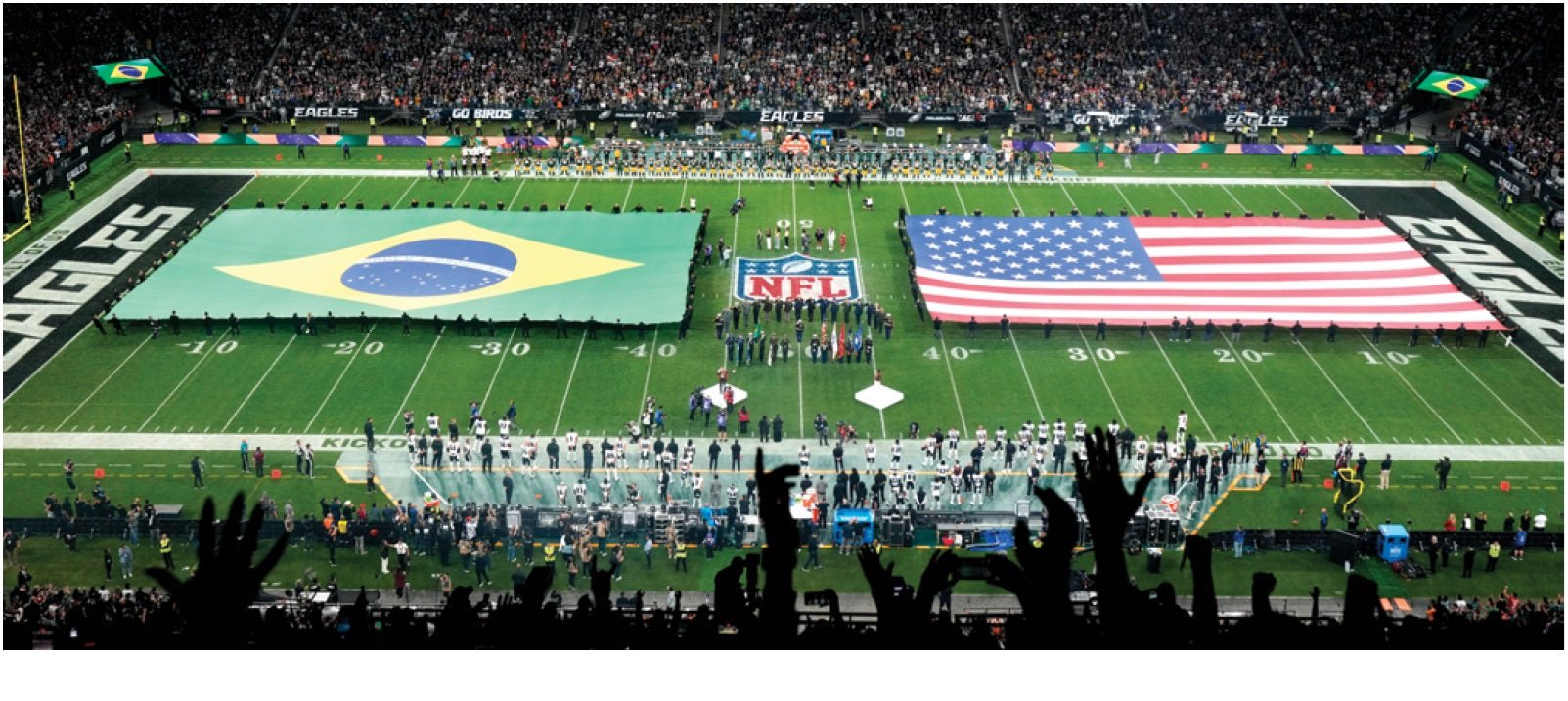 UnityLift™ American Field Flag with Handles – Nylon | Made in USA - PhishStones Products