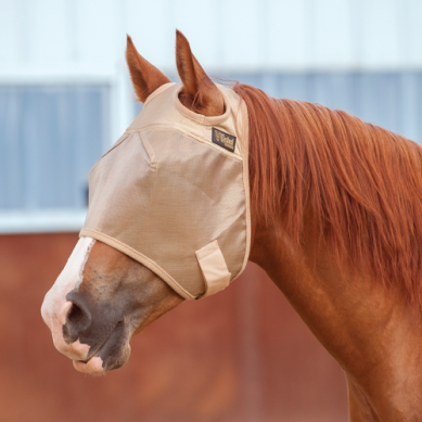 Cashel Economy Fly Mask