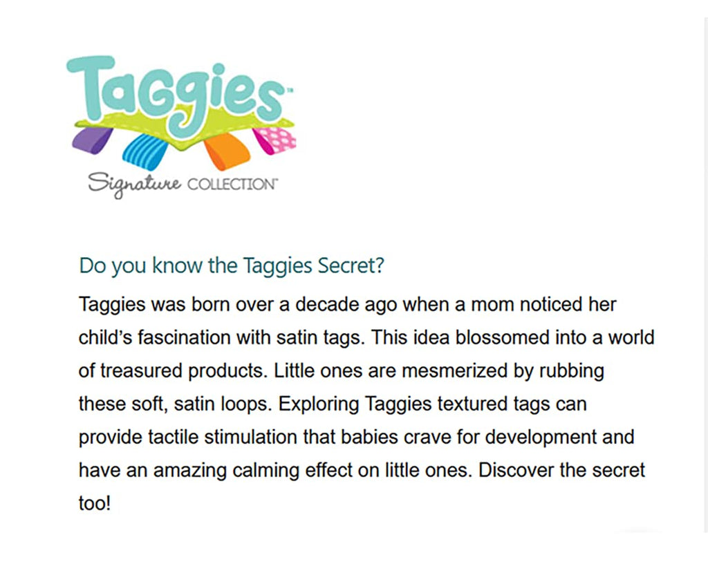 Taggies Soft Book - Starry Night Teddy