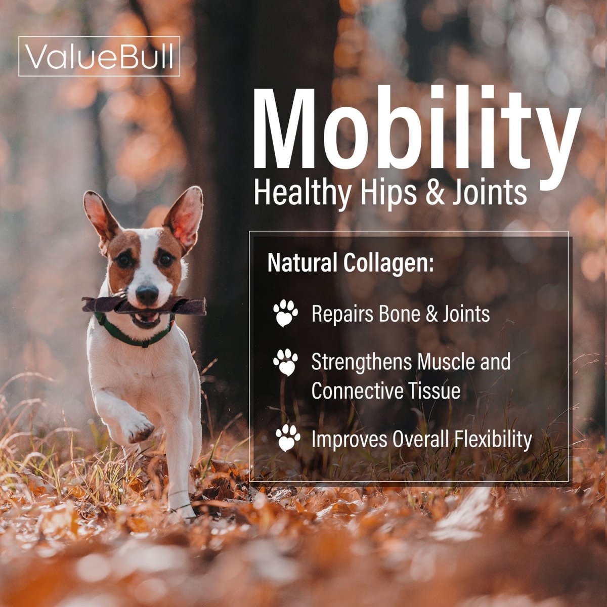 ValueBull USA Collagen Dog Chews, Fun Shapes Variety Mix, Natural Long-Lasting Dog Treats, 1 Pound