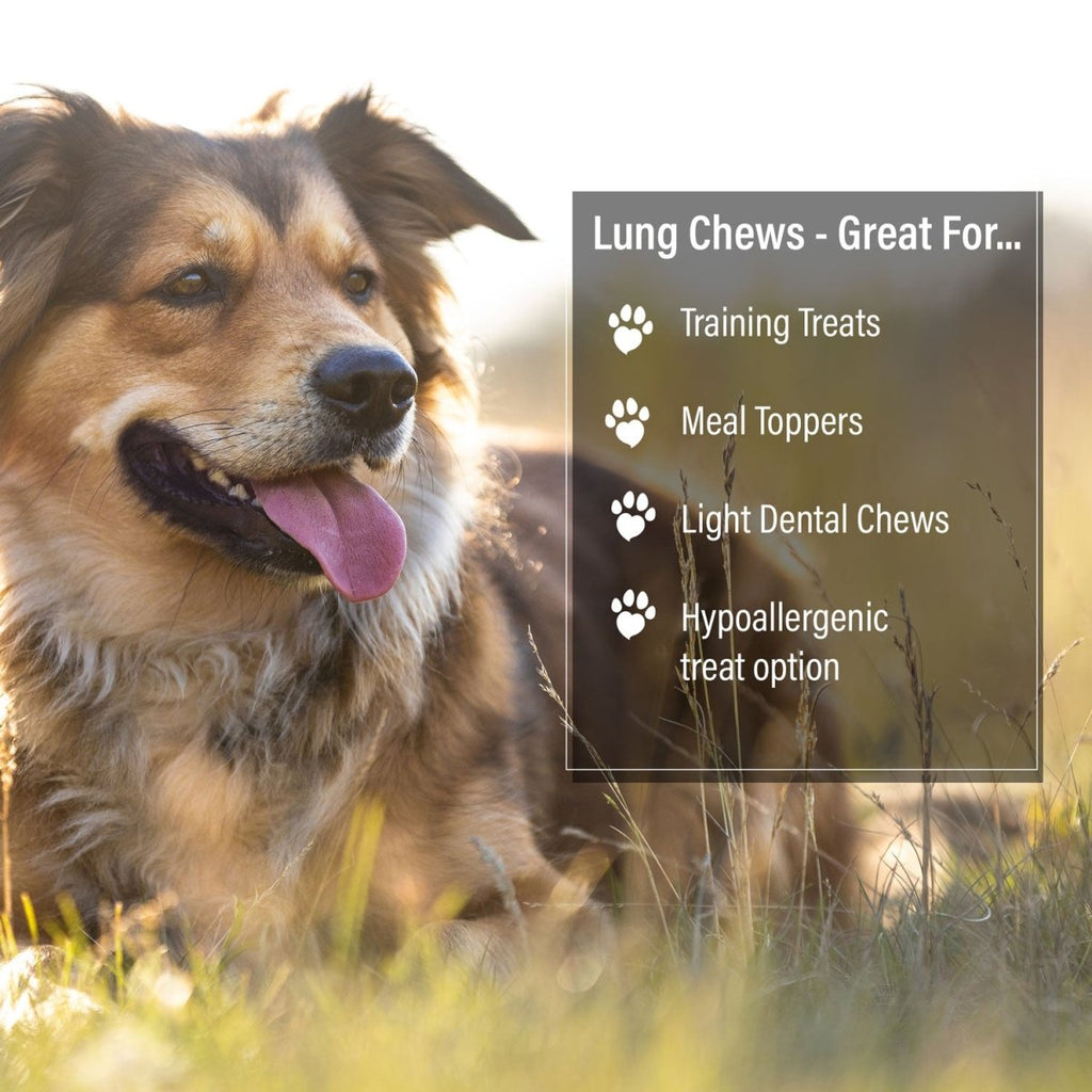 ValueBull Beef Lung Wafers, Premium 2 Pounds