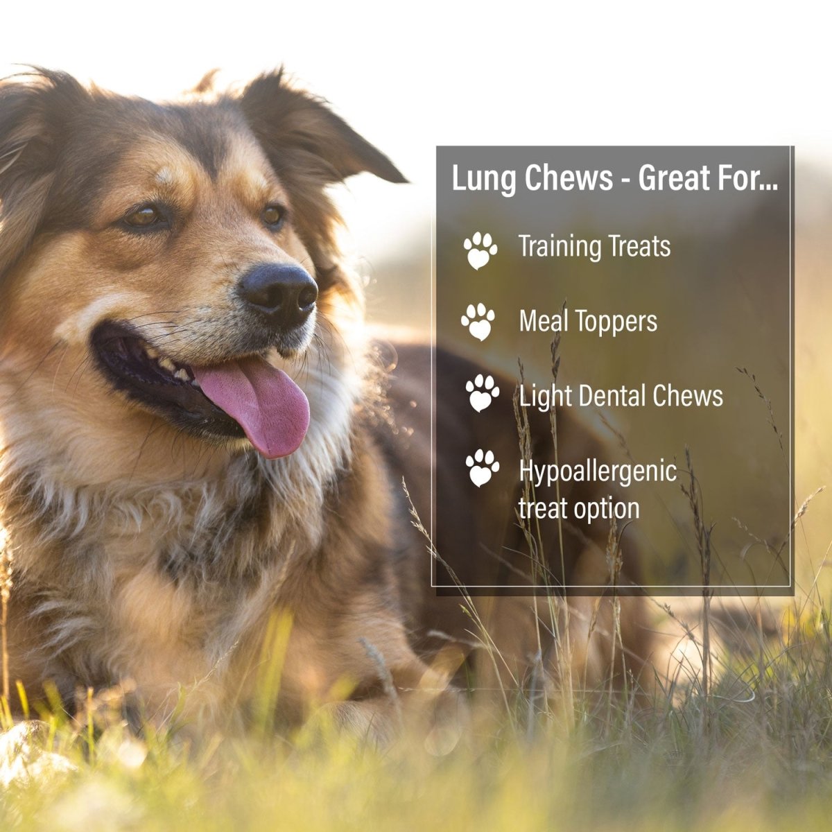 ValueBull Beef Lung Wafers, Premium 2 Pounds
