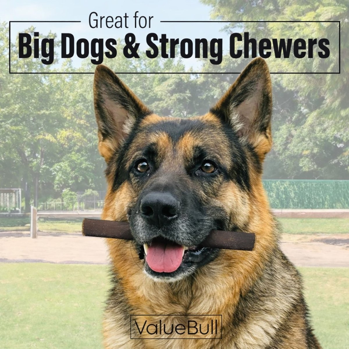 ValueBull Buffalo Collagen Sticks for Dogs, 6 Inch Thick Chews, Natural Long-Lasting Dog Treats, 50 Count