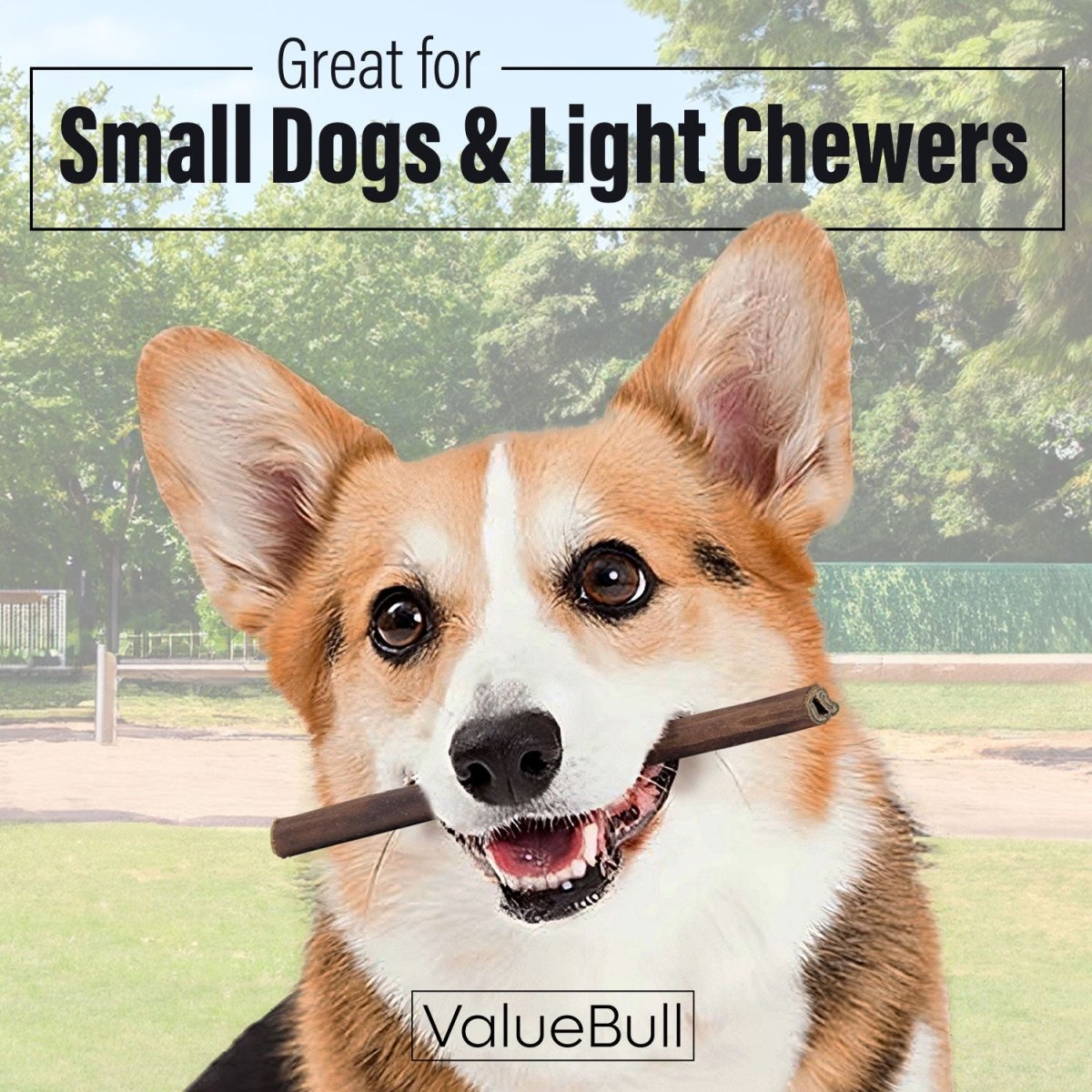 ValueBull Collagen Sticks for Small Dogs, 6 Inch Thin Chews, Natural Dog Treats, 50 Count